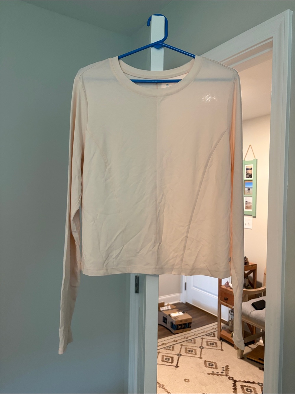 Light Pink Long-Sleeve Crewneck Top